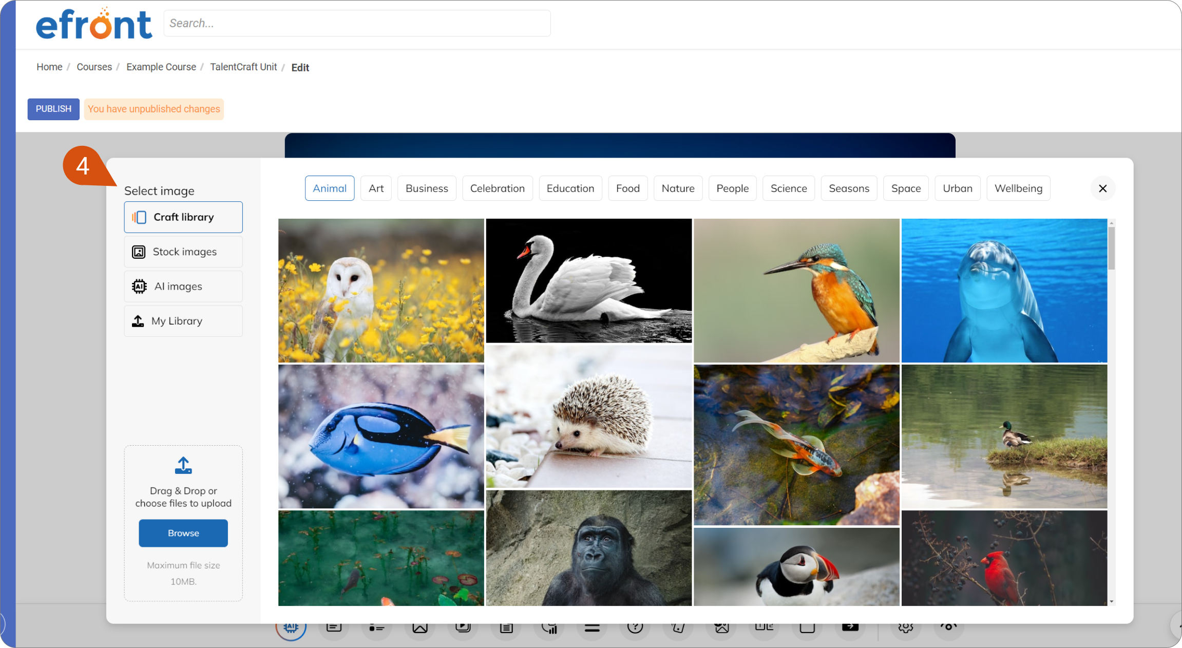 select_image_rdy.png